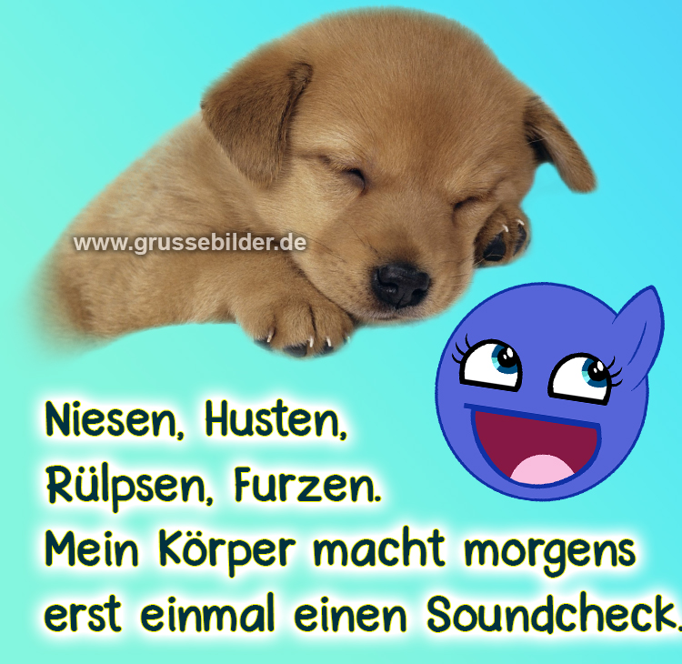 Frech Sarkastisch Verrückt Freche Guten Morgen Bilder 125+ 🤣 Ausgefallen Verrückt Freche Guten Morgen Grüße - Grüße Bilder