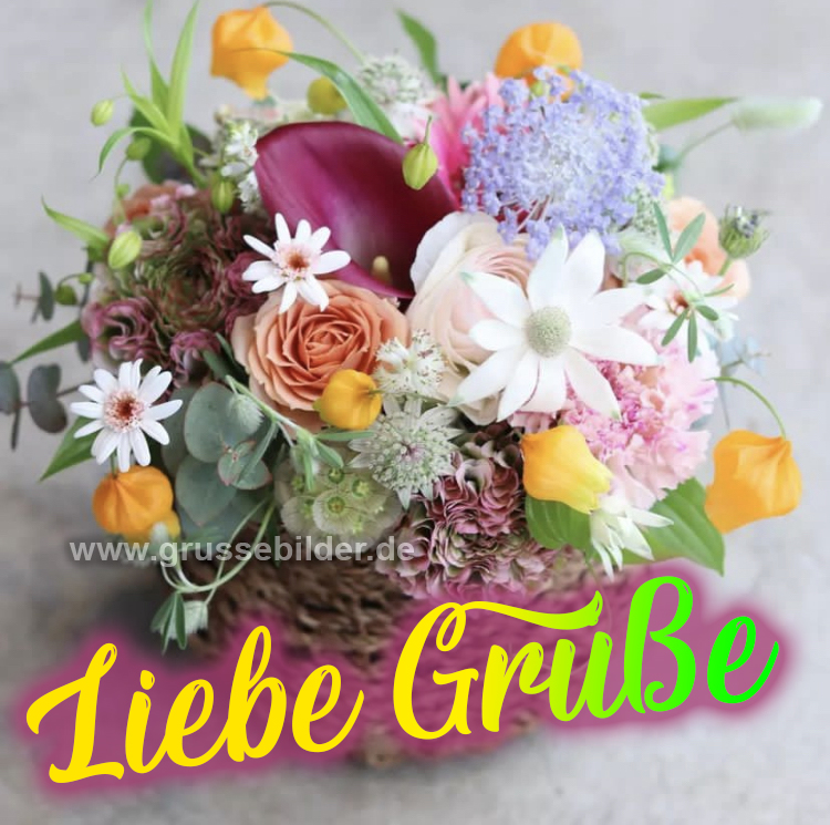 ᐅ Liebe Grüße Bilder Kostenlos Grüße Bilder
