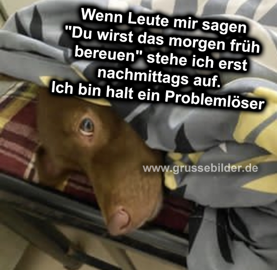 124+ 😹 Lustig Nachmittags Grüße 🍰 Grüße Bilder