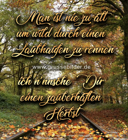 ᐅ Herbst Bilder für WhatsApp kostenlos Grüße Bilder
