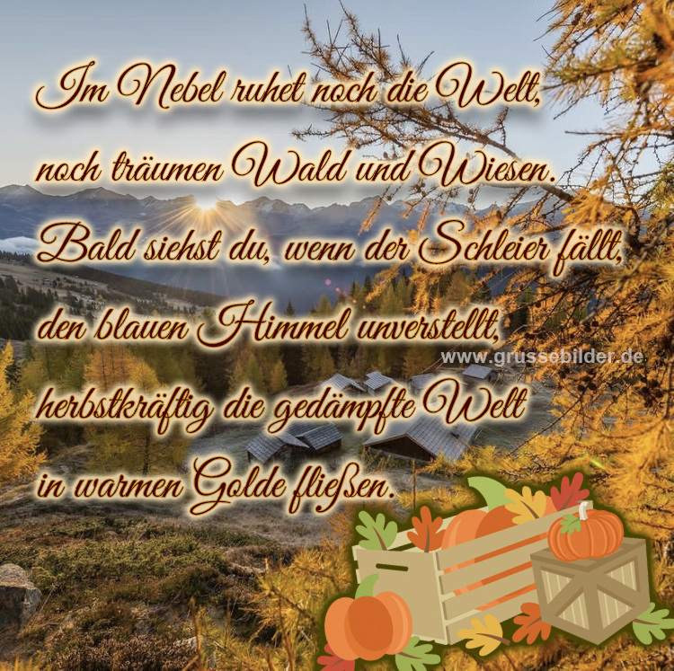 ᐅ Herbst Bilder für WhatsApp kostenlos Grüße Bilder