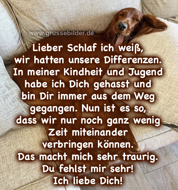 50+ ★ 😹 Lustig Schönen Abend und gute Nacht Bilder 🌝 Grüße Bilder