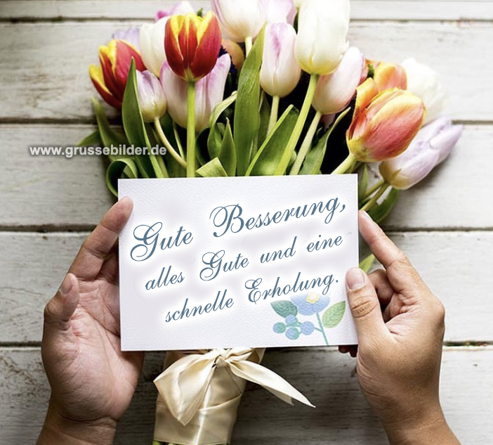 Wünsche Dir Gute Besserung Bilder Kostenlos ᐅ Gute Besserung Bilder Kostenlos 💐 - Grüße Bilder