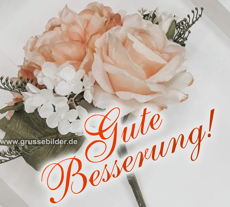 Wünsche Dir Gute Besserung Bilder Kostenlos ᐅ Gute Besserung Bilder Kostenlos 💐 - Grüße Bilder