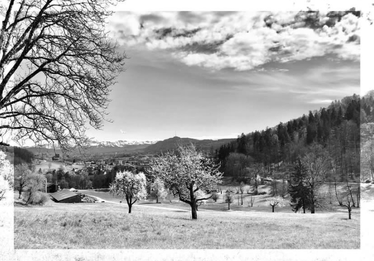 ᐅ Schwarz Weiß Bilder Grüße Bilder