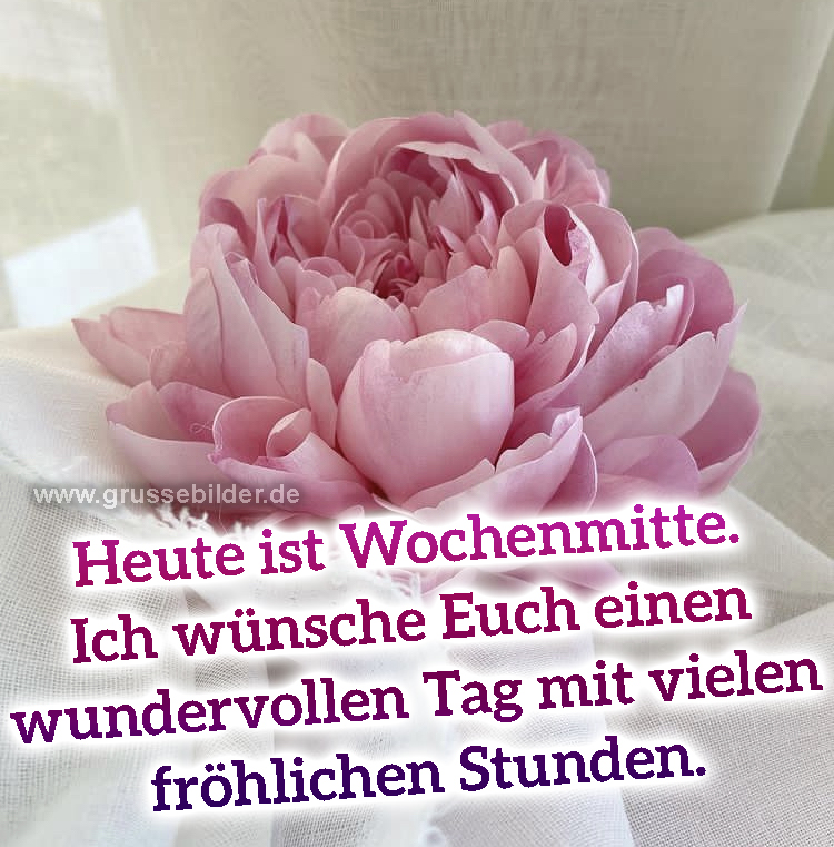 mittwochs guten morgen bilder