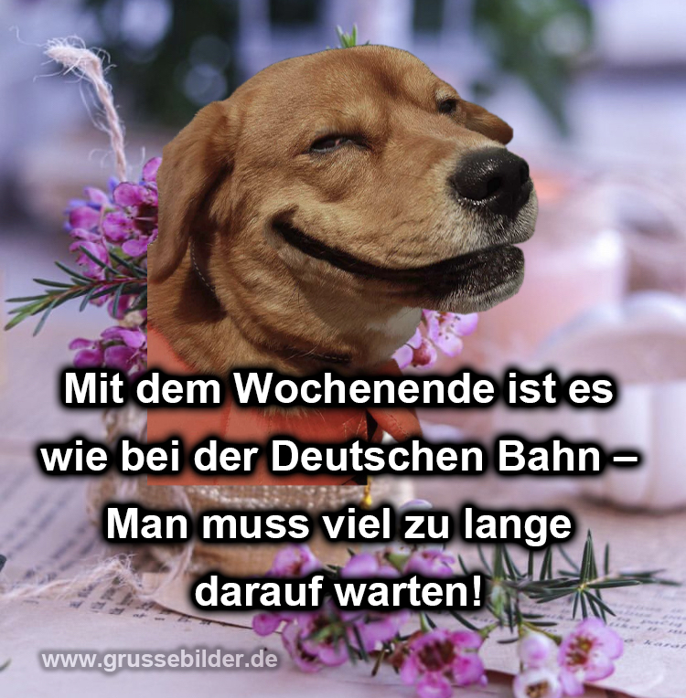 schönes wochenende lustig bilder kostenlos