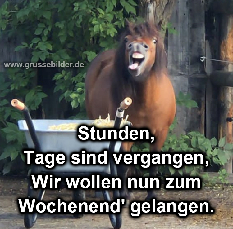 Erstaunlich Lustige Wochenendbilder Kostenlose Sammlung zum Aufheitern