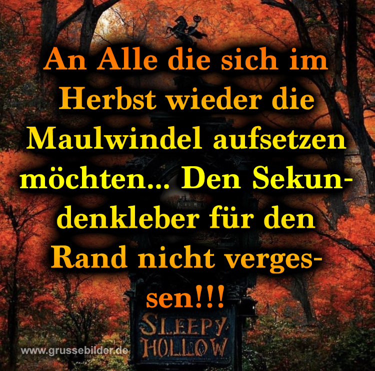 ᐅ Herbst Bilder Lustig Grüße Bilder