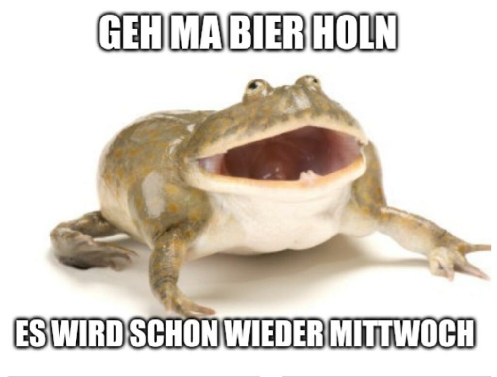 Tierisch Lustig Erstaunliche Sprüche und Bilder Exklusiv bei Grüße