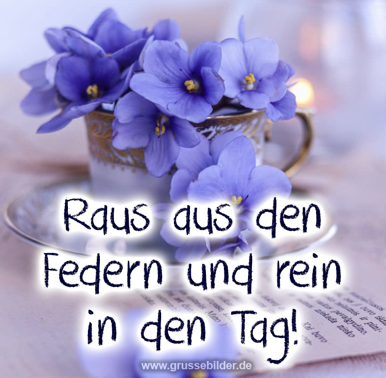 ᐅ WhatsApp Bilder Verschicken Kostenlos Grüße Bilder