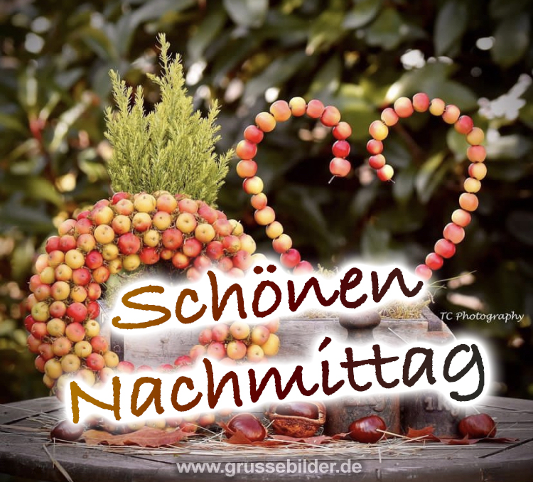 Die Geheimnisse eines unwiderstehlichen Schokoladenkuchens