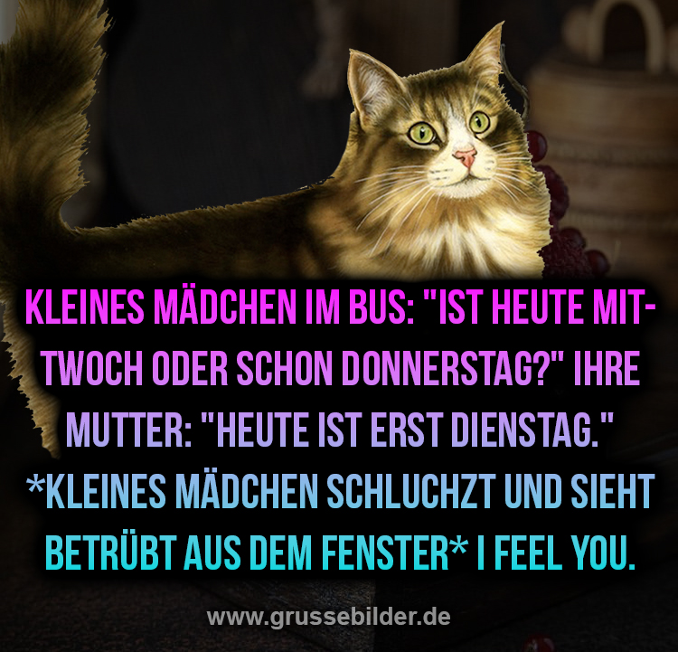 Nachhaltigkeit im Alltag: Kleine Schritte, große Wirkung