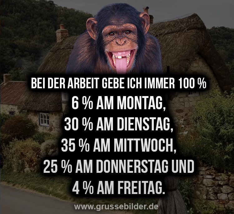 Spektakuläre Lustige Mittwoch Bilder: Perfekt für WhatsApp und Soziale ...
