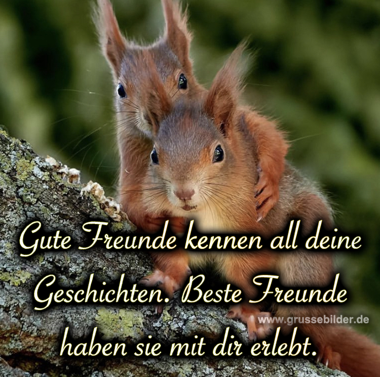 Beste Freundinnen Unterstützung, Liebe & Fotos mit Sprüchen dafür!