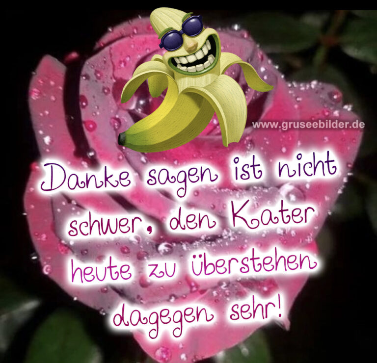 Lachen Sie mit uns TopSammlung witziger Geburtstagsbilder für Ihren