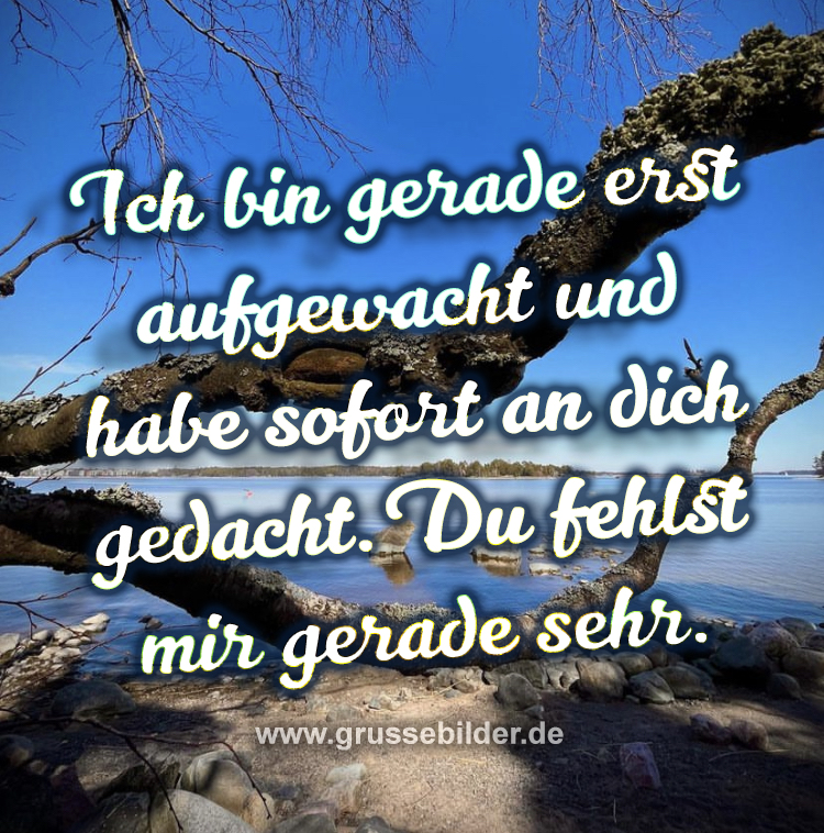 Die Geheimnisse eines gelungenen Familienurlaubs