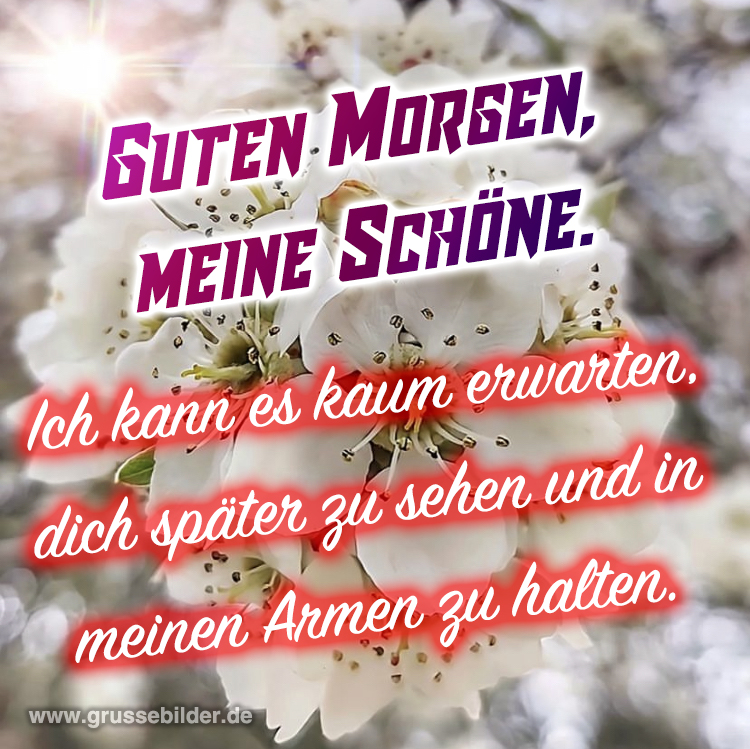 [100+] geile guten sprüche bilder Grüße Bilder