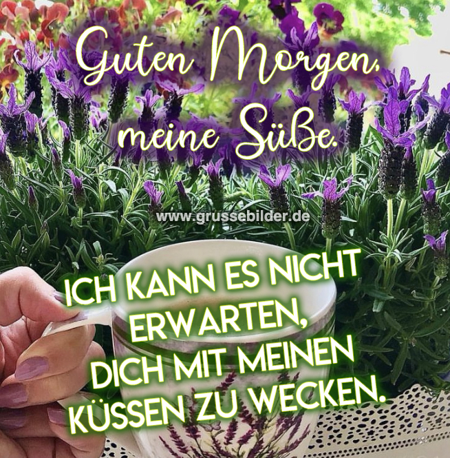 [100+] geile guten sprüche bilder Grüße Bilder