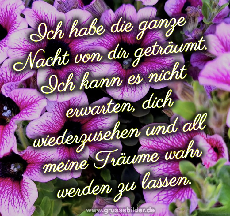 [100+] geile guten sprüche bilder Grüße Bilder