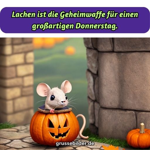 Top DonnerstagBilder zum Lachen Heiter durch den Tag mit Humor und Spaß!